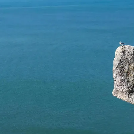 Διαμέρισμα 20 Meter Vom Und Meerblick